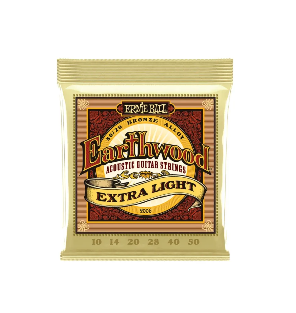 ERNIE BALL 2006.webp