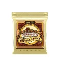 ERNIE BALL 2006.webp