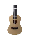 Ukelele aiersi 4.webp