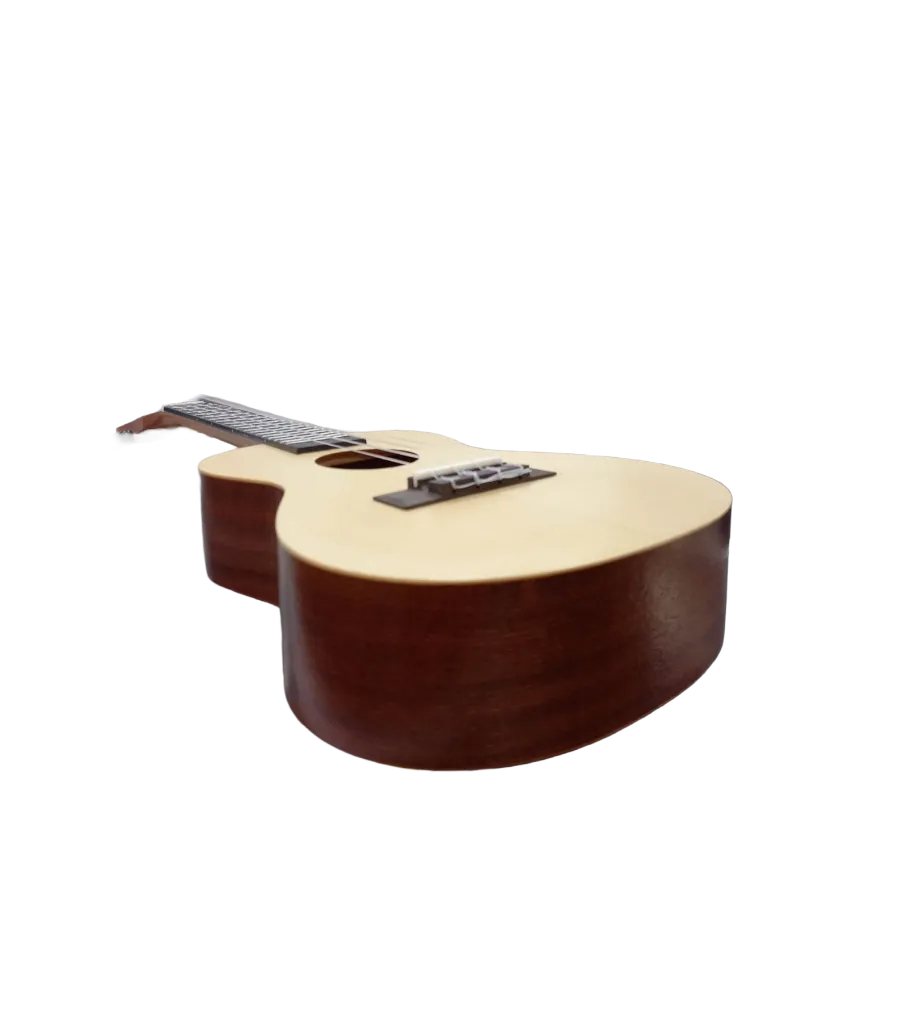 ukelele aiersi 5.webp