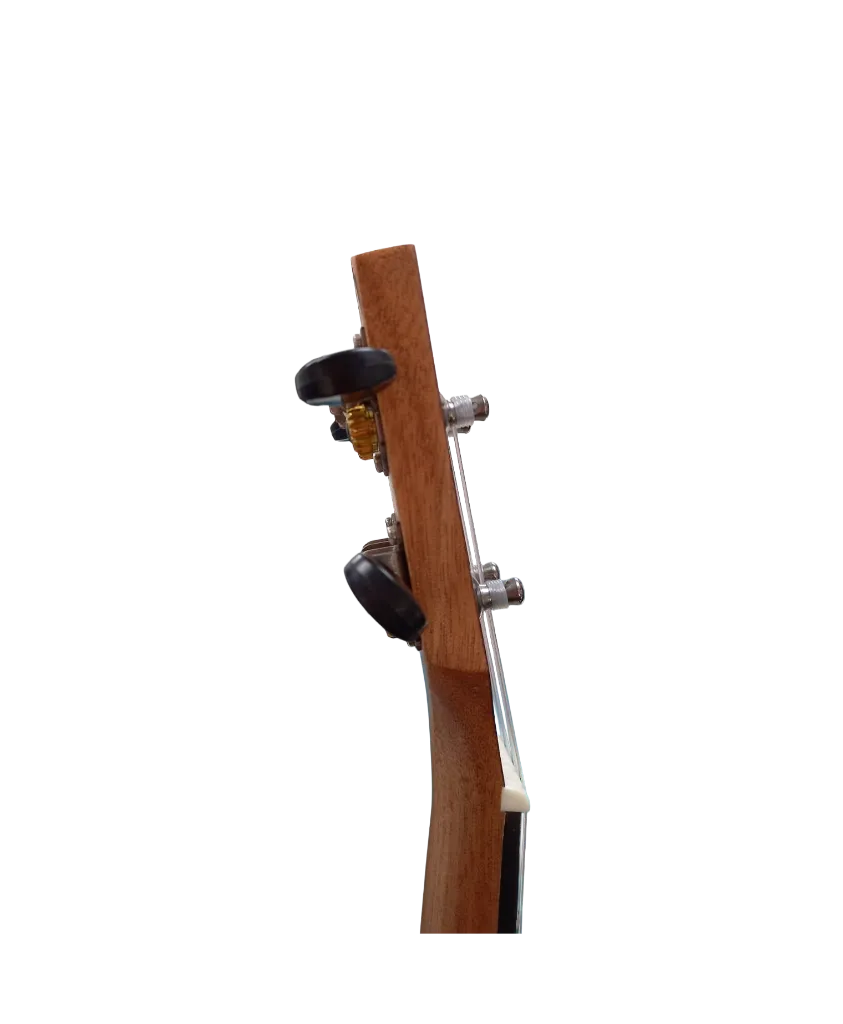 ukelele aiersi 2.webp