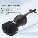 VIOLIN negro 5.webp