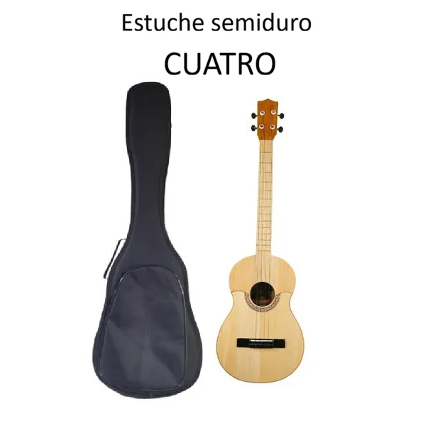 estuche semiduro cuatro.webp