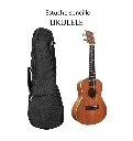 estuche sencillo ukulele.webp