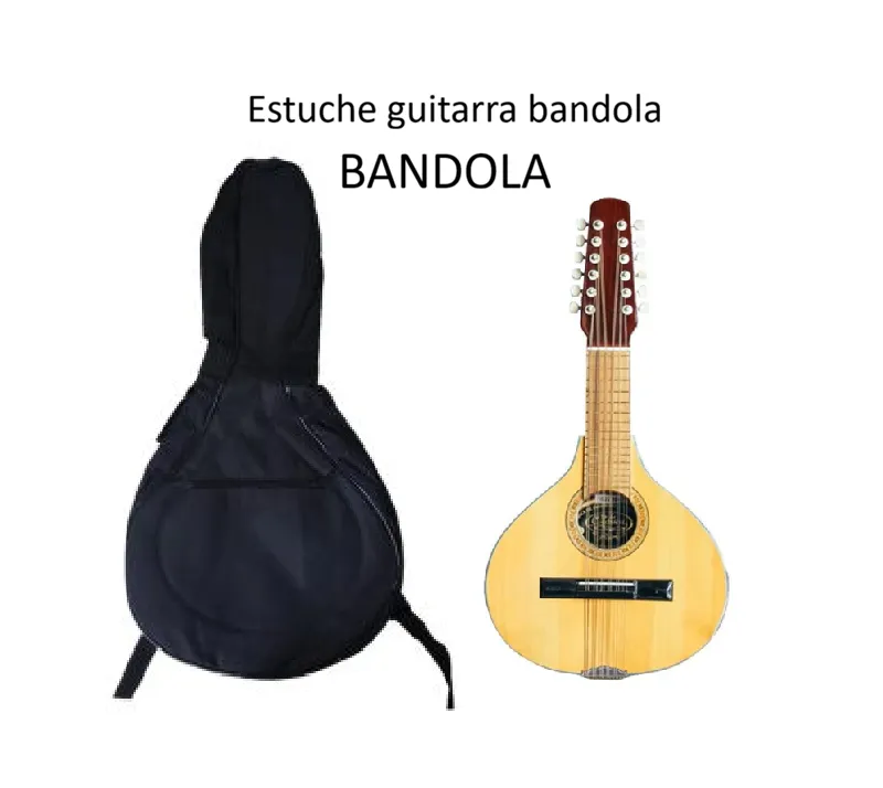 estuche semiduro bandola.webp