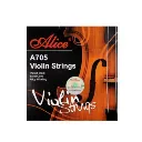 encordado violin.webp