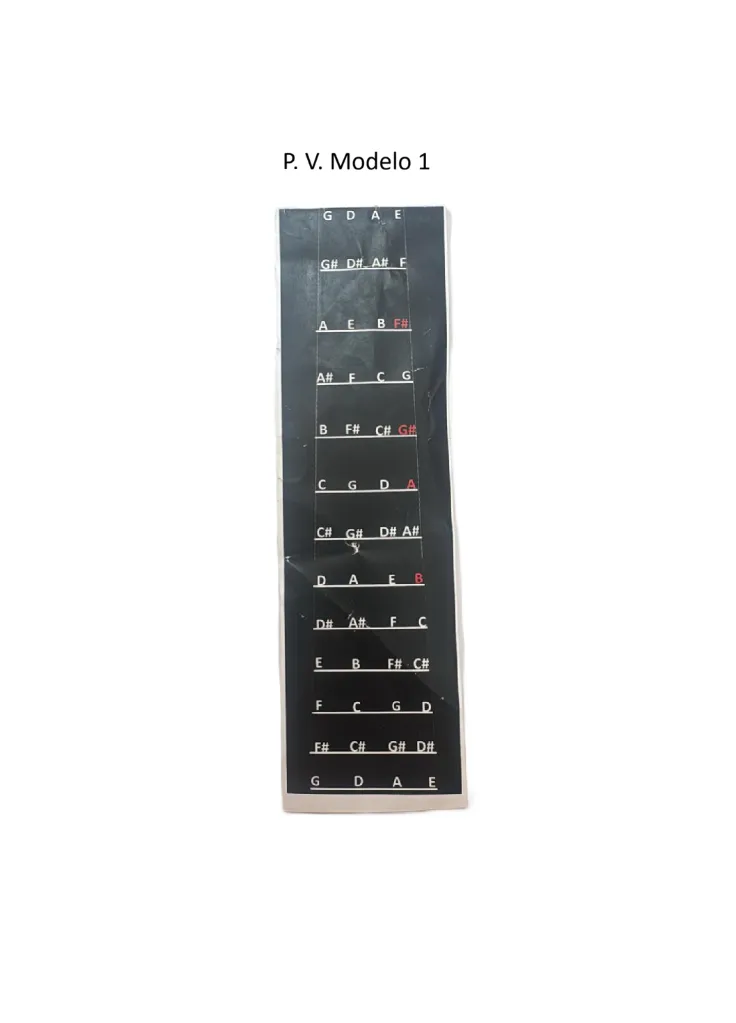 p.v modelo 1.webp