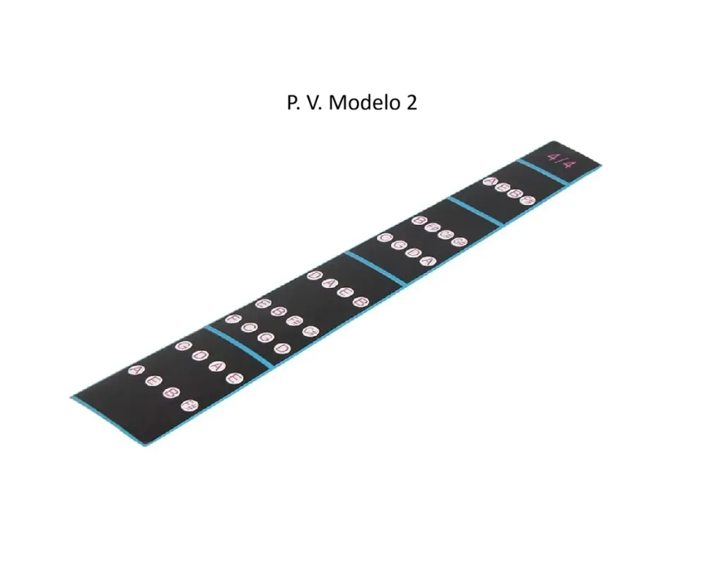 p.v modelo 2.webp