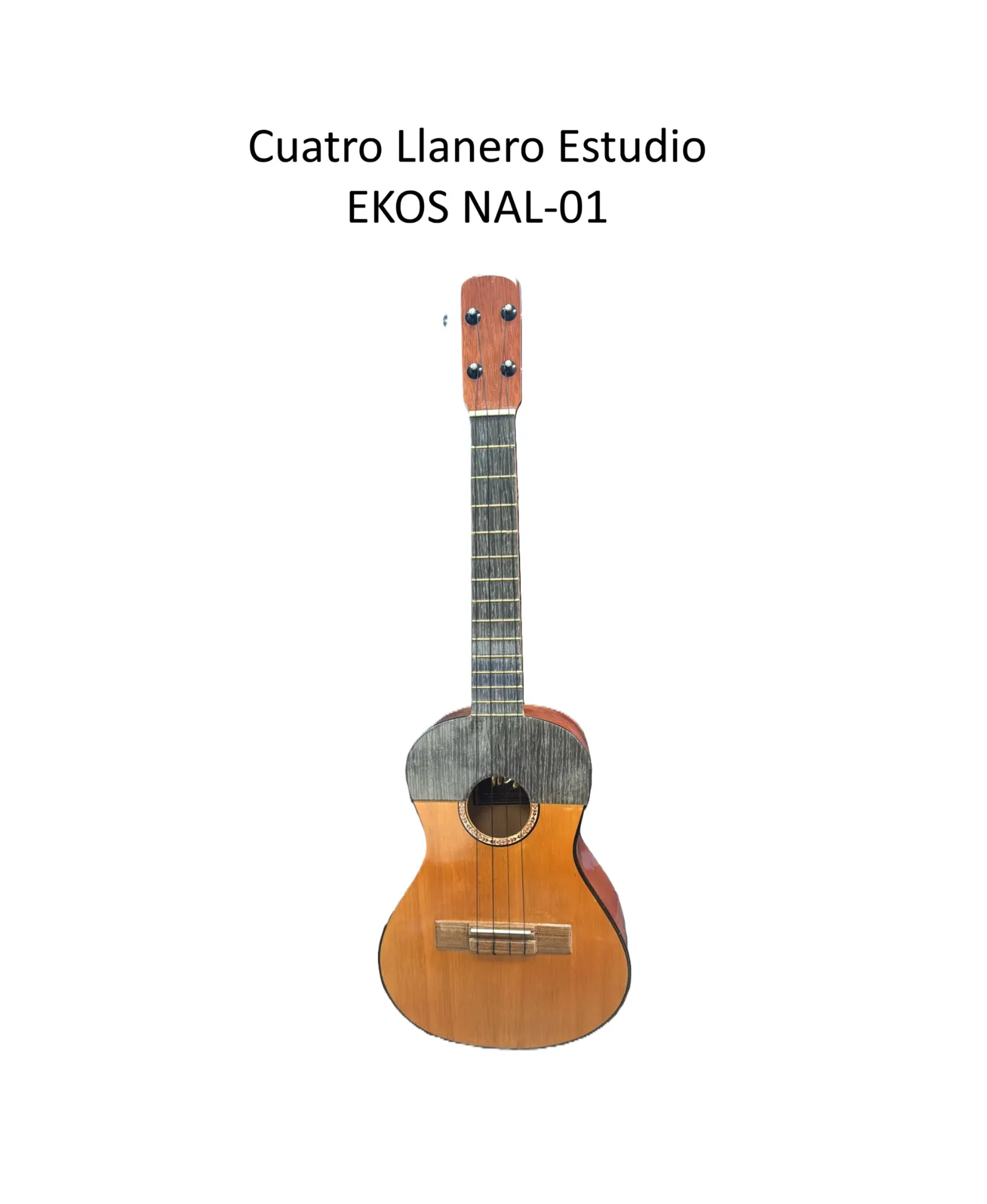 CUATRO LLANERO, Línea Estudio y Profesional.