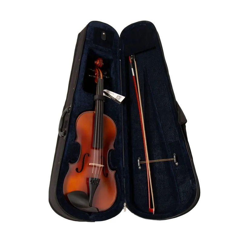 Violín LZS 4/4 Color Mate