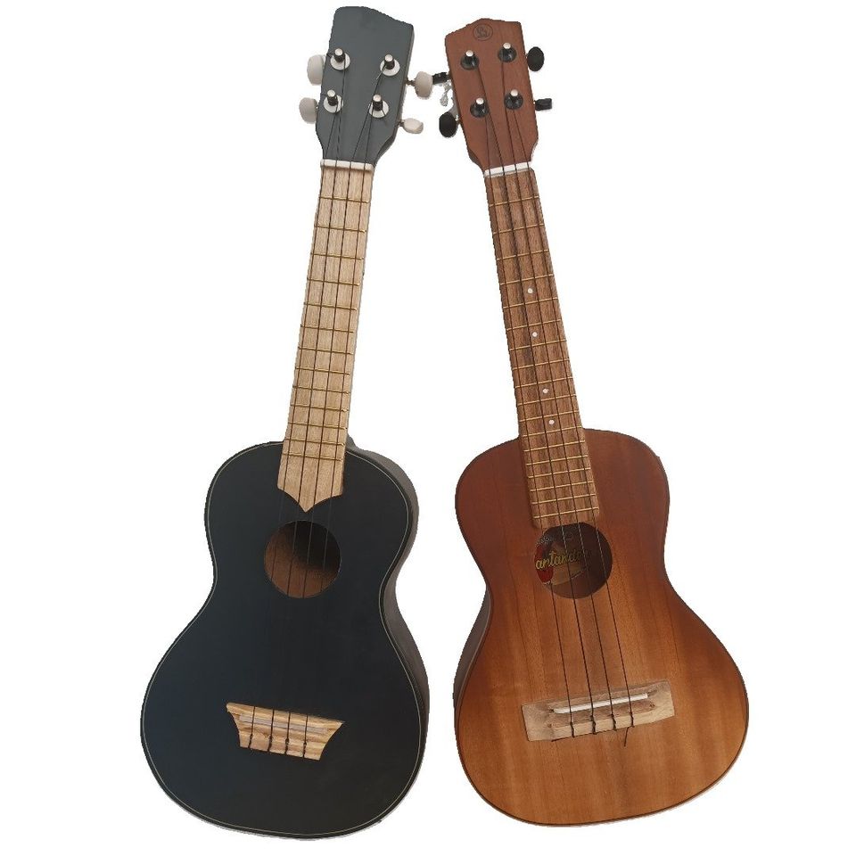 Combo Ukulele Concierto Nacional Colores con Estuche. Ukelele